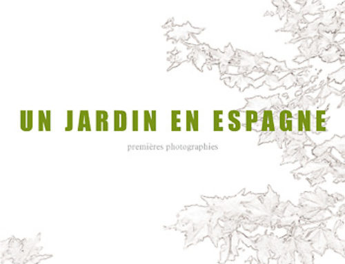 Un jardin en Espagne
