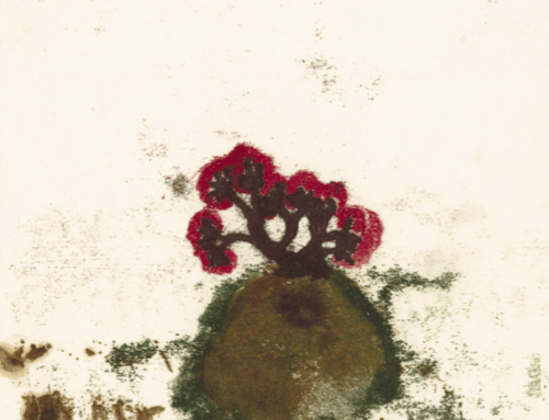 Autour de  “Nous irons au bois” : mon accordéon des bois