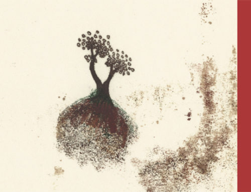 Autour de  “Nous irons au bois” : Exposition et Atelier